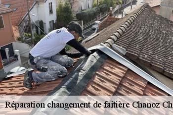 Réparation changement de faitière  chanoz-chatenay-01400 