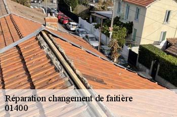 Réparation changement de faitière  chanoz-chatenay-01400 