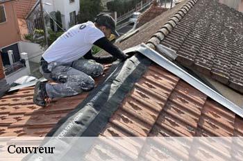 Couvreur 01 Ain FC Toiture