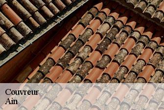 Couvreur 01 Ain Kenji Lagrenee Couverture