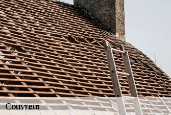 Couvreur 01 Ain Kenji Lagrenee Couverture