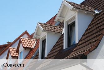 Couvreur 01 Ain Kenji Lagrenee Couverture