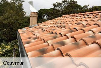 Couvreur 01 Ain Renov Pro 01