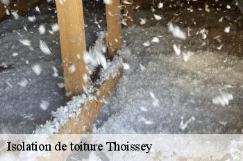 Isolation de toiture  thoissey-01140 