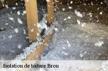 Isolation de toiture  brou-01000 