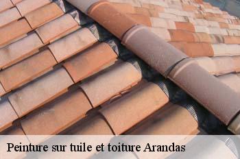 Peinture sur tuile et toiture  arandas-01230 