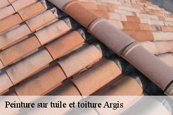 Peinture sur tuile et toiture  argis-01230 