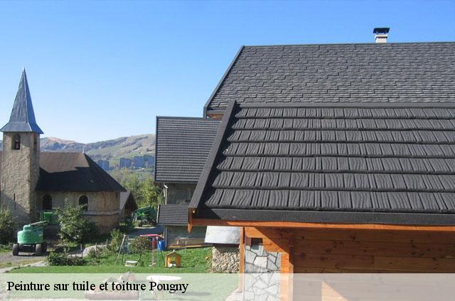 Peinture sur tuile et toiture  pougny-01550 