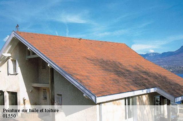 Peinture sur tuile et toiture  pougny-01550 