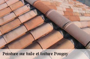 Peinture sur tuile et toiture  pougny-01550 