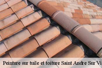 Peinture sur tuile et toiture  saint-andre-sur-vieux-jonc-01240 