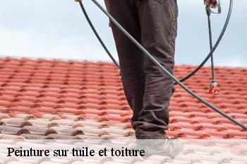 Peinture sur tuile et toiture  saint-andre-sur-vieux-jonc-01240 