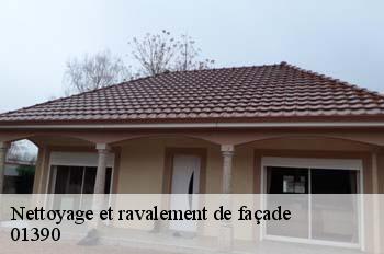 Nettoyage et ravalement de façade  saint-andre-de-corcy-01390 