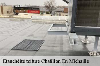 Etanchéité toiture  chatillon-en-michaille-01200 