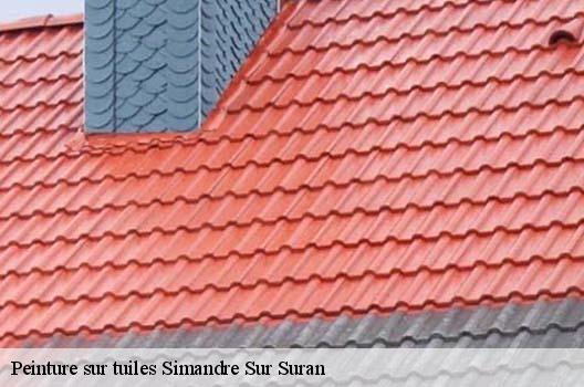 Peinture sur tuiles  simandre-sur-suran-01250 