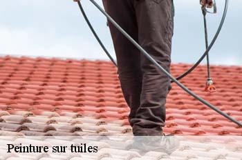 Peinture sur tuiles  simandre-sur-suran-01250 