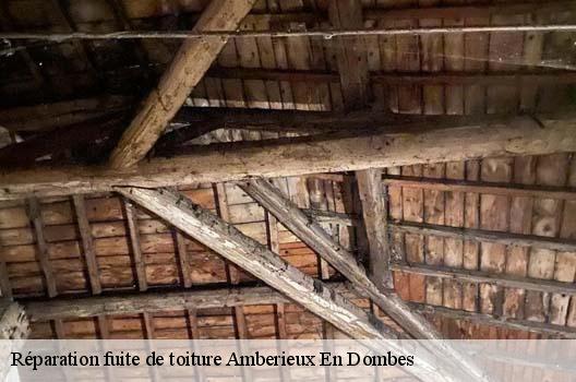 Réparation fuite de toiture  amberieux-en-dombes-01330 