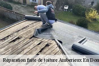 Réparation fuite de toiture  amberieux-en-dombes-01330 