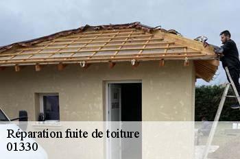 Réparation fuite de toiture  amberieux-en-dombes-01330 