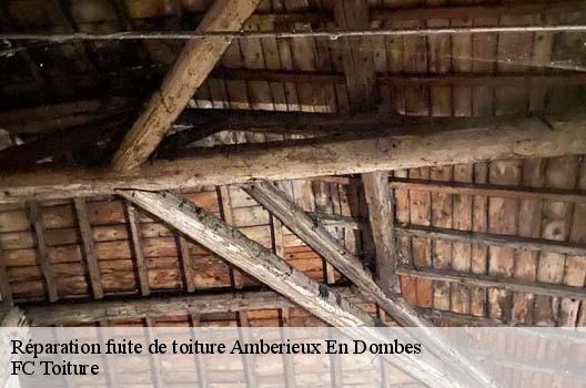 Réparation fuite de toiture amberieux-en-dombes-01330 FC Toiture