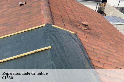 Réparation fuite de toiture amberieux-en-dombes-01330 FC Toiture