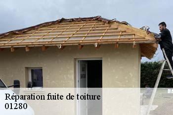 Réparation fuite de toiture  moens-01280 