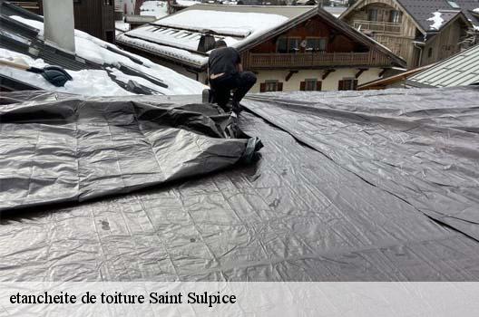 etancheite de toiture  saint-sulpice-01340 