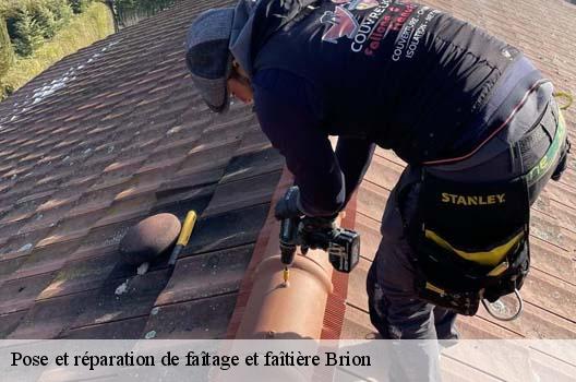 Pose et réparation de faîtage et faîtière  brion-01460 