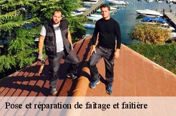 Pose et réparation de faîtage et faîtière  brion-01460 