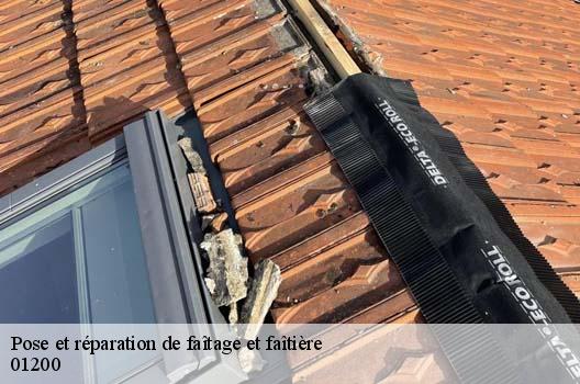 Pose et réparation de faîtage et faîtière  confort-01200 