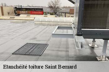 Etanchéité toiture  saint-bernard-01600 