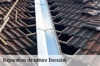 Réparation de toiture  bereziat-01340 