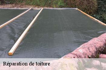 Réparation de toiture  villette-sur-ain-01320 