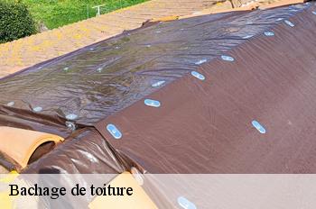 Bachage de toiture 01 Ain  