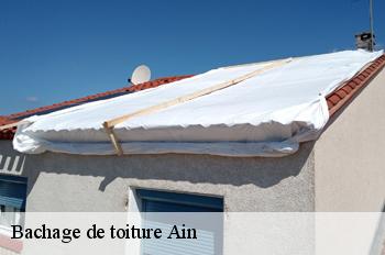 Bachage de toiture 01 Ain  