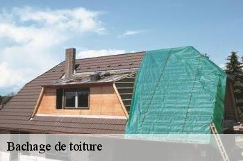 Bachage de toiture 01 Ain  