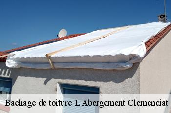 Bachage de toiture  l-abergement-clemenciat-01400 