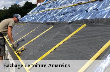 Bachage de toiture  amareins-01090 