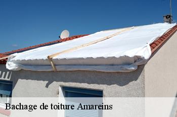 Bachage de toiture  amareins-01090 