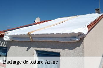 Bachage de toiture  aranc-01110 