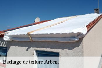 Bachage de toiture  arbent-01100 