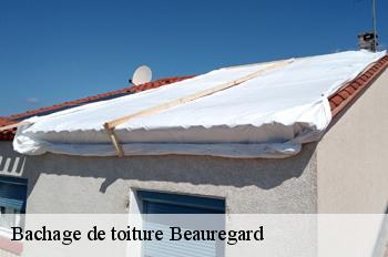 Bachage de toiture  beauregard-01480 