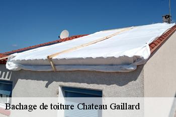 Bachage de toiture  chateau-gaillard-01500 