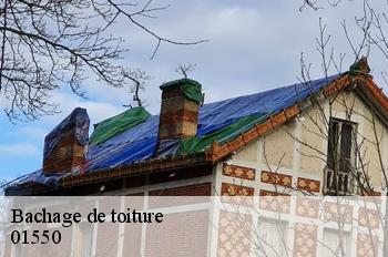 Bachage de toiture  collonges-01550 