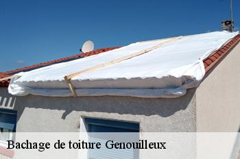 Bachage de toiture  genouilleux-01090 