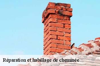 Réparation et habillage de cheminée  bregnier-cordon-01300 