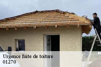 Urgence fuite de toiture  domsure-01270 